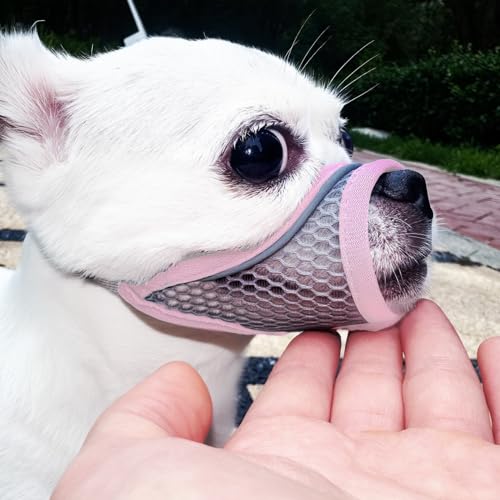 Hundemaulkorb, weiche Netzmaulkörbe für kleine Hunde, Chihuahua Shih Tzu Yorkie Pom, kurze Schnauze Mundschutz zum Bellen Beißen Fellpflege, atmungsaktiv, verstellbarer Welpenmaulkorb (Kristall Rosa Hundemaulkorb, weiche Netzmaulkörbe für kleine Hunde, Chihuahua Shih Tzu Yorkie Pom, kurze Schnauze Mundschutz zum Bellen Beißen Fellpflege, atmungsaktiv, verstellbarer Welpenmaulkorb (Kristall Rosa von MoiiLavin