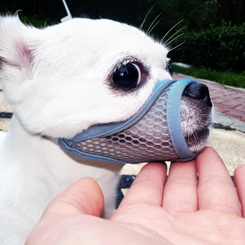 Hundemaulkorb, weiche Netzmaulkörbe für kleine Hunde, Chihuahua Shih Tzu Yorkie Pom, kurze Schnauze Mundschutz zum Bellen Beißen Fellpflege, atmungsaktiv, verstellbarer Welpenmaulkorb (Sommerblau, M) von MoiiLavin