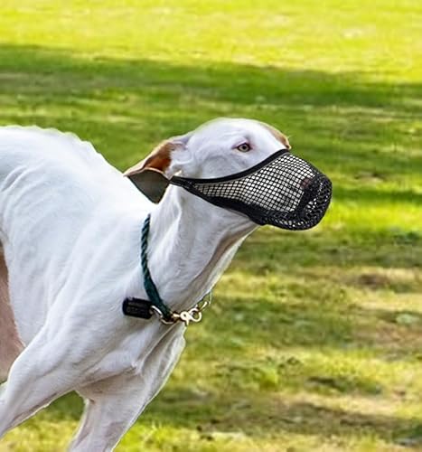 MoiiLavin Maulkorb für Hunde, verstellbar, atmungsaktiv, mit weichem Netzstoff, für kleine, mittelgroße und große Hunde, Haustier-Maulkorb zum Beißen, Kauen und Pflegen (Medium) von MoiiLavin