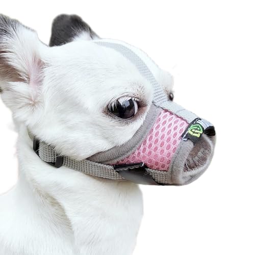 MoiiLavin Maulkorb für kleine Hunde, Größe XS zum Fellpflegen, Bellen und Kauen, barkless, weiche Netz-Maulkorb, um zu verhindern, dass Kot-Dinge fressen, am besten für aggressive Hunde (grau-PNK) MoiiLavin Maulkorb für kleine Hunde, Größe XS zum Fellpflegen, Bellen und Kauen, barkless, weiche Netz-Maulkorb, um zu verhindern, dass Kot-Dinge fressen, am besten für aggressive Hunde (grau-PNK) von MoiiLavin