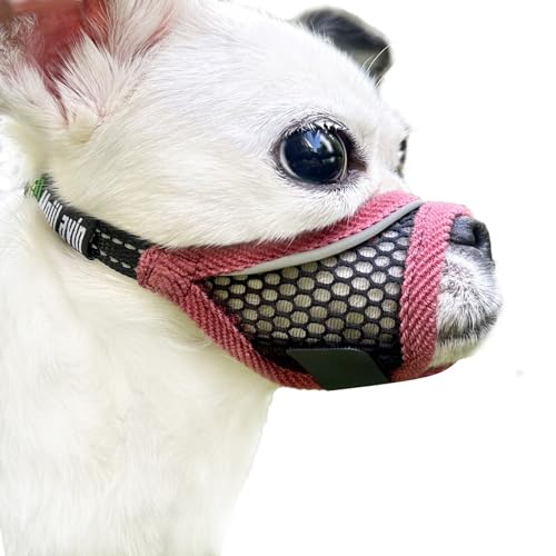 MoiiLavin Maulkorb für kleine und mittelgroße Hunde, atmungsaktiv, verstellbar, Chihuahua, Shih Tzu Welpen, weicher Air-Mesh-Maulkorb für Fellpflege, Tierarztbesuche, verhindert Beißen heftiges Bellen MoiiLavin Maulkorb für kleine und mittelgroße Hunde, atmungsaktiv, verstellbar, Chihuahua, Shih Tzu Welpen, weicher Air-Mesh-Maulkorb für Fellpflege, Tierarztbesuche, verhindert Beißen heftiges Bellen von MoiiLavin