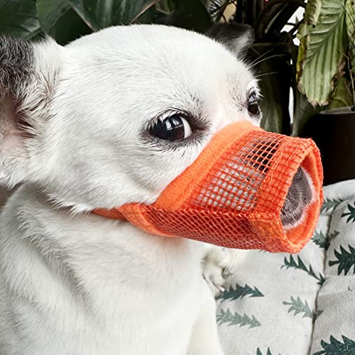 MoiiLavin Soft Air Mesh Dog Maulkorb, weiches Nylon Maulkorb, Anti Beißen, Bellen, Kauen, atmungsaktiv, trinkbar, verstellbare Schlaufe, Haustiere Maulkorb für kleine, mittelgroße und große Hunde von MoiiLavin