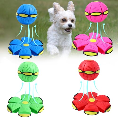 Moiitru Fliegende Untertasse Ball Haustier Spielzeug Interaktive Fliegende Untertasse Hundespielzeug Tragbare Fliegende Untertasse Ball für Hunde, blau+pink+rot+grün keine Lichter von Moiitru