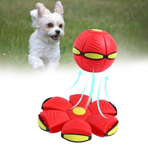 Moiitru Flying Saucer Ball Pet Toy Interactive Flying Saucer Dog Toy Portable Flying Saucer Ball for Dogs, Red No Lights von Moiitru