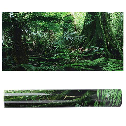 Aquarium-Hintergrund, strapazierfähiges PVC, einseitig selbstklebend, HD-Reptilienbox, Regenwald-Hintergrund, Poster, sicher mit Aquarium, Wandbild, Malerei, Dekoration (61 x 30 cm) von Mokernali
