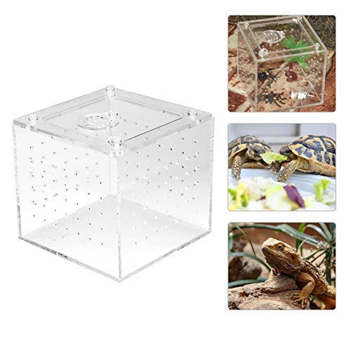 Mini Terrarium Transportbox,Futterbox Reptilien,Reptile Fütterungsbox Acrylic,10×10×9cm,Mit 2-mm-Lüftungslöchern Fördert,mit Sicherer Verschlussabdeckung,für Geckos,Grillen,Eidechsen-Spinnenfrosch von Mokernali