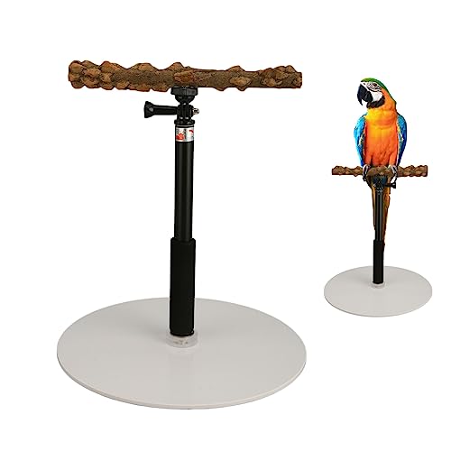 Tragbare Papageienstation, Papageienstange, Sitzstangen für Papageien, 90×(30-94) cm, Höhenverstellbare Papageien-Sitzstange,Vogelständer aus Holz und Acryl, Abnehmbar,Naturzaun,Papageienspielständer von Mokernali