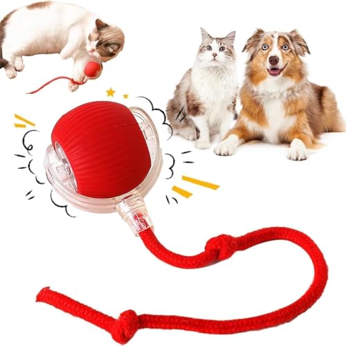 Mokeum Interaktiver rollender Hundeball, Chewie Viraler Rollball, elektrischer Hundeball-Spielzeug, 360 ° intelligenter automatischer Katzenball, Spielzeug, geeignet für große und kleine Hunde und Mokeum Interaktiver rollender Hundeball, Chewie Viraler Rollball, elektrischer Hundeball-Spielzeug, 360 ° intelligenter automatischer Katzenball, Spielzeug, geeignet für große und kleine Hunde und von Mokeum