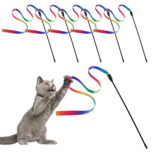 Molain Katzenspielzeug, interaktives Katzenspielzeug Katzenspielzeug für Innenräume, interaktiv, Haustierspielzeug für Kätzchentraining(5 Sets Regenbogen Katze String Spielzeug), 505410-cc von Molain