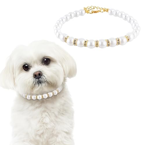 Molain Perlen Katzenhalsband, einstellbare Haustiere halsbänder, sicheres Schnellentriegelungs-Katzenhalsband Perlen Haustierhalsband für kleine Katzen und Hunde(Gold) von Molain