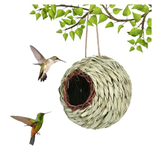 Molinter 2 Stück Gras Bird Nest Kugelvogelnest Vogelnest Gras Handgewebte Vogelhäuser Verschleißfest Hängender Vogelnest Handgewebte Vogelhütte 13 * 13CM von Molinter