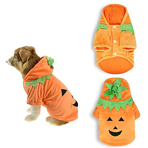 Molinter Halloween Hunde Kostüm Kürbis Lustig Kostümzubehör für Haustier Teddy Katze Party Cosplay Kleidung Katzenbekleidung (S) von Molinter