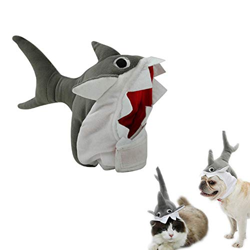 Molinter Hunde Hut Haifischform Halloween Haustier Katzen Hüte Hexe Lustig Kostümzubehör für Pet Party Karnevals (S(20-30CM)) von Molinter