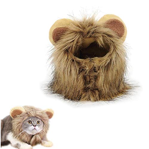 Molinter Katzen Löwenkostüm Haustier Kleine Hunde Katzenbekleidung Löwenmähne mit Ohren für Haustiere mit Einem Halsumfang von 28 bis 38 cm (M（Halsumfang32cm）) von Molinter