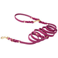 Molly & Stitch Butter 3x verstellbare Leder Hundeleine [Flamingo/Gold - 2 m x 12 mm] von Molly & Stitch