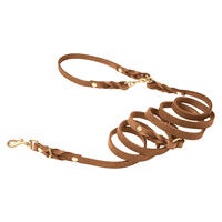 Molly & Stitch Butter 3x verstellbare Leder Hundeleine [Sahara Cognac/Gold - 2 m x 16 mm] von Molly & Stitch