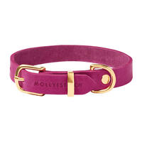 Molly & Stitch "Butter" Leder Hundehalsband [Flamingo/Gold - L: 36 - 42 cm x 20 mm] von Molly & Stitch