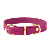 Molly & Stitch Butter Leder Hundehalsband [Flamingo/Gold - S: 28 - 32 cm x 12 mm] von Molly & Stitch