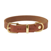 Molly & Stitch Butter Leder Hundehalsband [Sahara Cognac/Gold - M: 32 - 38 cm x  20 mm] von Molly & Stitch