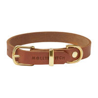Molly & Stitch Butter Leder Hundehalsband [Sahara Cognac/Gold - S: 28 - 32 cm x 12 mm] von Molly & Stitch