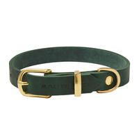 Molly & Stitch "Butter" Leder Hundehalsband [Waldgrün/Gold - S: 28 - 32 cm x 12 mm] von Molly & Stitch