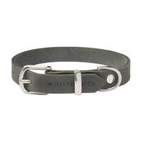 Molly & Stitch "Butter" Leder Hundehalsband [Zeitlos Grau/Silber - S: 28 - 32 cm x 12 mm] von Molly & Stitch