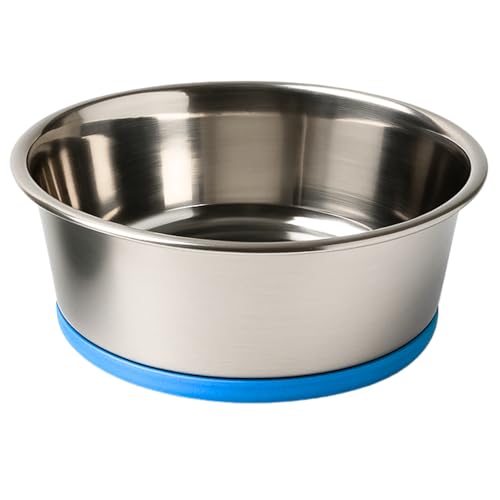 MOLY Rutschfester Futternapf für Katzen und kleine Hunde, 14 cm, 0,5 l, mit blauer Silikonbasis, hygienisch und robust, Schüssel aus Edelstahl, leicht zu reinigen MOLY Rutschfester Futternapf für Katzen und kleine Hunde, 14 cm, 0,5 l, mit blauer Silikonbasis, hygienisch und robust, Schüssel aus Edelstahl, leicht zu reinigen von Moly