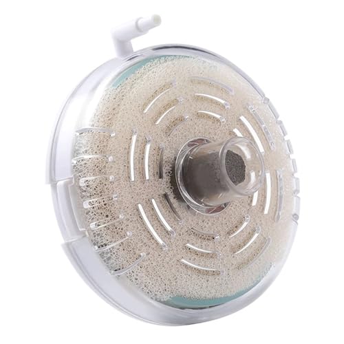Molyorch 1 Stücke Filtro Angolare per Acquario, Filtro in Spugna Con Pietra Porosa, Filtro a Scatola Schermato, Filtro per SerbatoioGeeignet für die Filterung von Aquarien und Aquarien Molyorch 1 Stücke Filtro Angolare per Acquario, Filtro in Spugna Con Pietra Porosa, Filtro a Scatola Schermato, Filtro per SerbatoioGeeignet für die Filterung von Aquarien und Aquarien von Molyorch