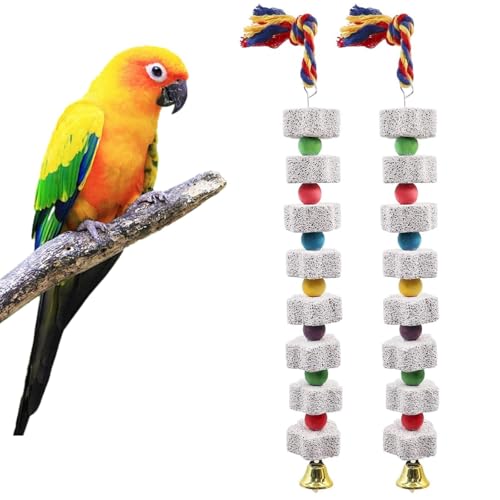 Molyorch 2 Stück Große Vogel Kauspielzeug, Vulkangestein Schnabelpflegestein für Vögel, Sittiche und Nager, Sicher und Langlebig, Ideal für Vogelkäfige und Hamstergehege von Molyorch