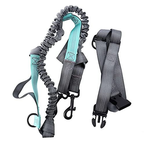 Monaghan Hände Taille Hund Leine Mit Dual Bungees, Freie Kontrolle Für Zu 150 Pfund Hunde, Langlebige Bungee Leine Mit Verstellbarem Hüftgurt - Zum, Joggen Oder Gehen Monaghan Hände Taille Hund Leine Mit Dual Bungees, Freie Kontrolle Für Zu 150 Pfund Hunde, Langlebige Bungee Leine Mit Verstellbarem Hüftgurt - Zum, Joggen Oder Gehen von Monaghan