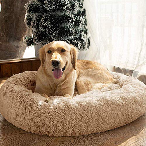 Luxuriöses Haustierbett Weich Hundebett Doughnut-Form Hundesofa Waschbar Hundekorb Hunde Weich Kissen Katzenbett Matte für Groß extra groß Hunde und Katzen-80cm-Hellgelb von Monba