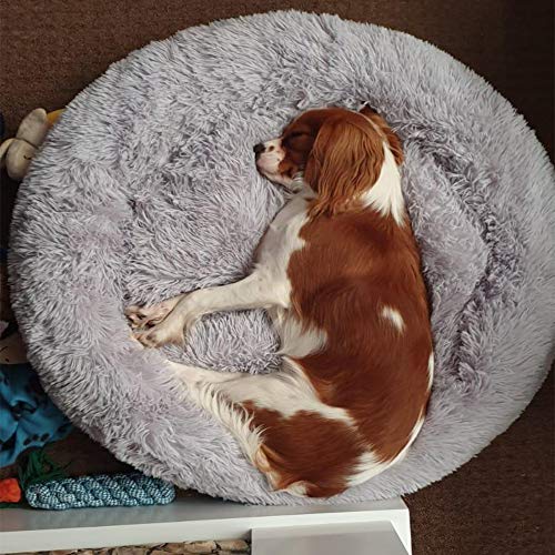 Haustierbett aus Plüsch in Donut-Form, warm, weich, verdickt, für kleine, mittelgroße und große Hunde, 100 cm, Hellgrau von Monba