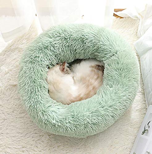 Monba Katzenbett, warme tierbett katzenbett/Katzen bettchen/Katzenschlafenbett in Doughnut-Form/Haustierbett für das Katzenkätzchenschlafen-50cm-Grün von Monba