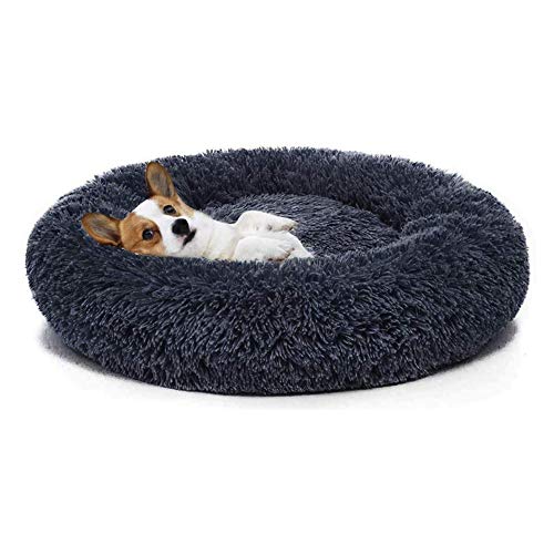 Monba Premium Orthopädisch Hundebett mit Abnehmbarer Waschbeständiger Bezug Chihuahua Katze Welpen Tierkissen Weich Gepolstert Hundekorb Monba Premium Orthopädisch Hundebett mit Abnehmbarer Waschbeständiger Bezug Chihuahua Katze Welpen Tierkissen Weich Gepolstert Hundekorb von Monba