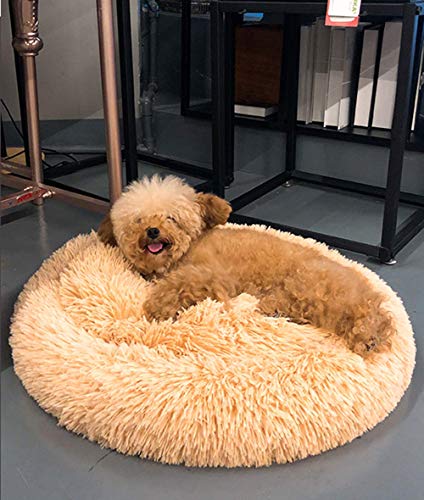 Monba Tierbett Runde Doughnut Flauschige Plüsch Hundebett Katzensofa Gepolstert Hundekorb Hundekissen Waschbar Welpen Schlafsack Höhlenbett Schlafplatz Monba Tierbett Runde Doughnut Flauschige Plüsch Hundebett Katzensofa Gepolstert Hundekorb Hundekissen Waschbar Welpen Schlafsack Höhlenbett Schlafplatz von Monba