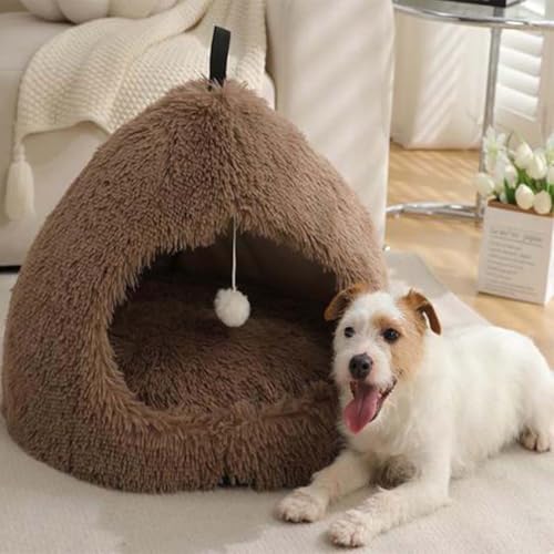 Haustierbett, warmes Katzenhöhle, Plüschzelt, Katzennistbett für Katzen, kleine Hunde, Welpen, mit waschbarem, abnehmbarem Kissen, Tragegriff, rutschfestes Katzenbett, Igluhaus (XL: 63 x 63 x 50 cm, Haustierbett, warmes Katzenhöhle, Plüschzelt, Katzennistbett für Katzen, kleine Hunde, Welpen, mit waschbarem, abnehmbarem Kissen, Tragegriff, rutschfestes Katzenbett, Igluhaus (XL: 63 x 63 x 50 cm, von Monbaer