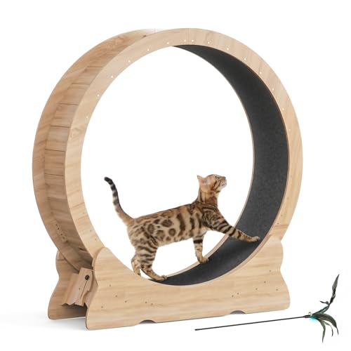 Mondeer Katzenlaufrad für Indoor-Katze, 110cm Laufband mit Abnehmbaren Teppichboden für Katzen Holzlaufrad Laufrad für Kleines Mittel Großes Katze Fitness-Gewichtsverlust-Gerät, Naturholz Mondeer Katzenlaufrad für Indoor-Katze, 110cm Laufband mit Abnehmbaren Teppichboden für Katzen Holzlaufrad Laufrad für Kleines Mittel Großes Katze Fitness-Gewichtsverlust-Gerät, Naturholz von Mondeer