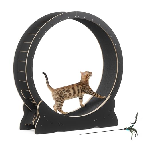 Mondeer Katzenlaufrad für Indoor-Katze, 110cm Laufband mit Abnehmbaren Teppichboden für Katzen Holzlaufrad Laufrad für Kleines Mittel Großes Katze Fitness-Gewichtsverlust-Gerät, Schwarz Mondeer Katzenlaufrad für Indoor-Katze, 110cm Laufband mit Abnehmbaren Teppichboden für Katzen Holzlaufrad Laufrad für Kleines Mittel Großes Katze Fitness-Gewichtsverlust-Gerät, Schwarz von Mondeer