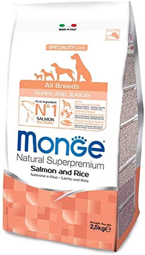 MONGE ALL BREED PUPPY & JUNIOR 12 kg (Lachs & RISO) - Super Premium Lachs für Hundewelpen, Monoprotein, 100% natürlich von Monge