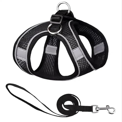AirFlow Mesh Dog Harness - Adjustable, Reflective, and Lightweight Vest for Safe and Comfortable Control - Easy On/Off Design, Schwarz - Black AirFlow Mesh Dog Harness - Adjustable, Reflective, and Lightweight Vest for Safe and Comfortable Control - Easy On/Off Design, Schwarz - Black von Mongohlah