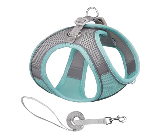 ComfortFit Dog Harness - Breathable Mesh Vest with Reflective Strips, Adjustable Soft Harness for Safe and Easy Control - Lightweight and Quick to Put On, Grün und Grau-Green and Gray ComfortFit Dog Harness - Breathable Mesh Vest with Reflective Strips, Adjustable Soft Harness for Safe and Easy Control - Lightweight and Quick to Put On, Grün und Grau-Green and Gray von Mongohlah