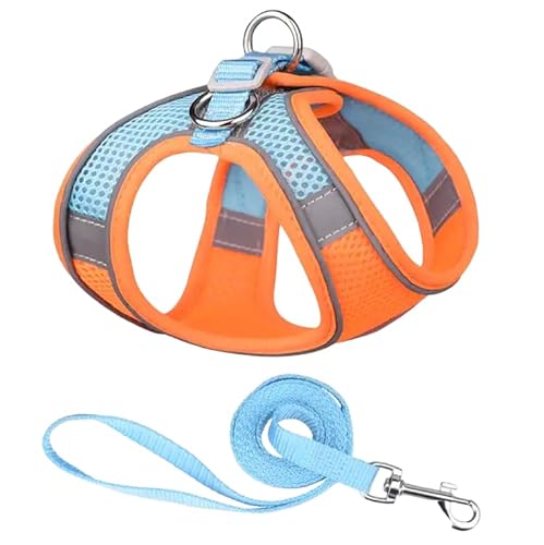 ComfortFit Dog Harness - Breathable Mesh Vest with Reflective Strips, Adjustable Soft Harness for Safe and Easy Control - Lightweight and Quick to Put On. Orange and Blue - Orange und Blau ComfortFit Dog Harness - Breathable Mesh Vest with Reflective Strips, Adjustable Soft Harness for Safe and Easy Control - Lightweight and Quick to Put On. Orange and Blue - Orange und Blau von Mongohlah