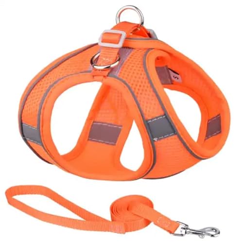ComfortFit Dog Harness - Breathable Mesh Vest with Reflective Strips, Adjustable Soft Harness for Safe and Easy Control - Lightweight and Quick to Put On. Orange ComfortFit Dog Harness - Breathable Mesh Vest with Reflective Strips, Adjustable Soft Harness for Safe and Easy Control - Lightweight and Quick to Put On. Orange von Mongohlah