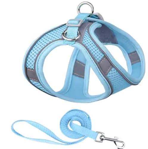 UltraComfort Dog Harness - Breathable Mesh Vest with Reflective Safety Strips, Adjustable Soft Fit for Lightweight, Easy Control. Light Blue - Hellblau UltraComfort Dog Harness - Breathable Mesh Vest with Reflective Safety Strips, Adjustable Soft Fit for Lightweight, Easy Control. Light Blue - Hellblau von Mongohlah