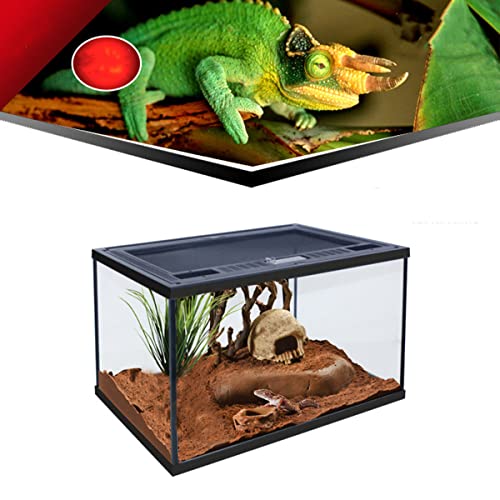 Reptilien-Tank, gehärtetes Glas, Reptilien-Terrarium für Schildkrötenschlange, Belüftung und Anti-Flucht-Deckel von Monivi