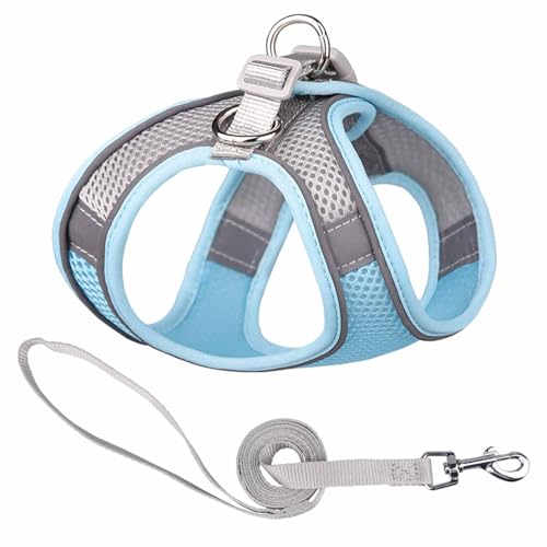 Monkimau Atmungsaktives Hundegeschirr mit Leine | Mesh und Nylon | Ideal für kleine Hunde und Katzen | Größe XXS bis L (Blau-Grau, XS) von Monkimau