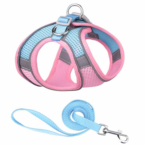 Monkimau Atmungsaktives Hundegeschirr mit Leine | Mesh und Nylon | Ideal für kleine Hunde und Katzen | Größe XXS bis L (Pink-Blau, S) von Monkimau