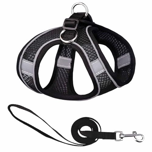 Monkimau Atmungsaktives Hundegeschirr mit Leine | Mesh und Nylon | Ideal für kleine Hunde und Katzen | Größe XXS bis L (Schwarz, XS) von Monkimau