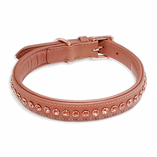 Monkimau Halsband Hund echt Leder Hunde Halsbänder braun gepolstert mit Kristallen Lederhalsband verstellbar Dog Collar Hundehalsband (M-S: 20mm x 50cm) von Monkimau