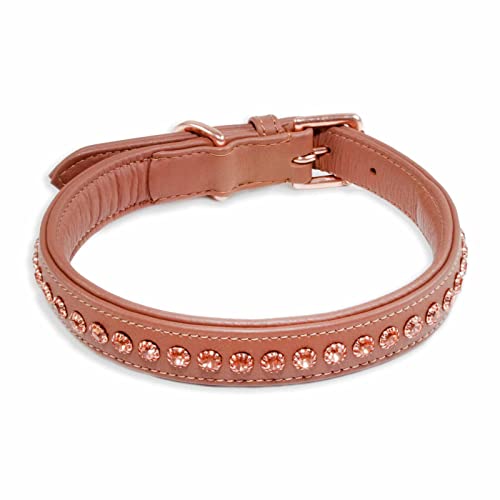 MONKIMAU Halsband Hund echt Leder Hunde Halsbänder braun gepolstert mit Kristallen Lederhalsband verstellbar Dog Collar Hundehalsband (M: 20mm x 55cm) von MONKIMAU